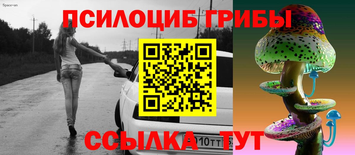 Галлюциногенные грибы Psilocybe  Псилоцибиновые грибы прущие грибы  Вход с VPN  Алушта 