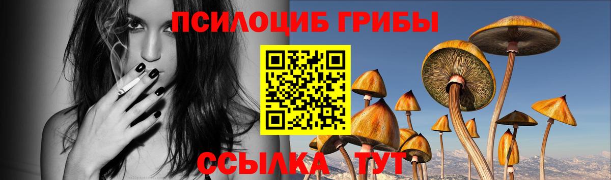 Псилоцибиновые грибы прущие грибы Алушта